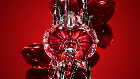 Only Desire Fragrance