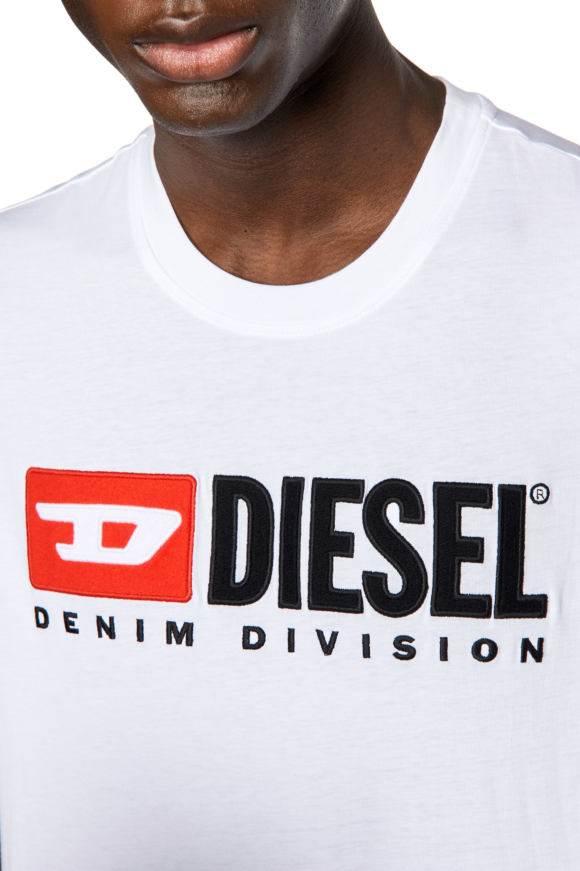 Diesel - T-DIEGOR-DIV, Man T-shirt with embroidered logo in White - Image 5