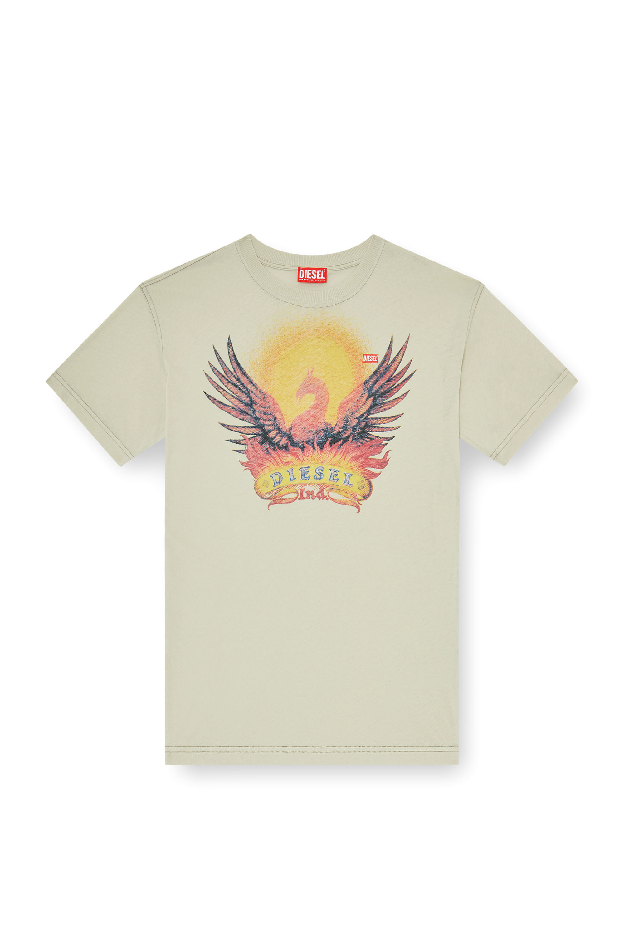 Diesel - T-NORM-AA1, Man's Regular T-shirt with Phoenix print in null - 2