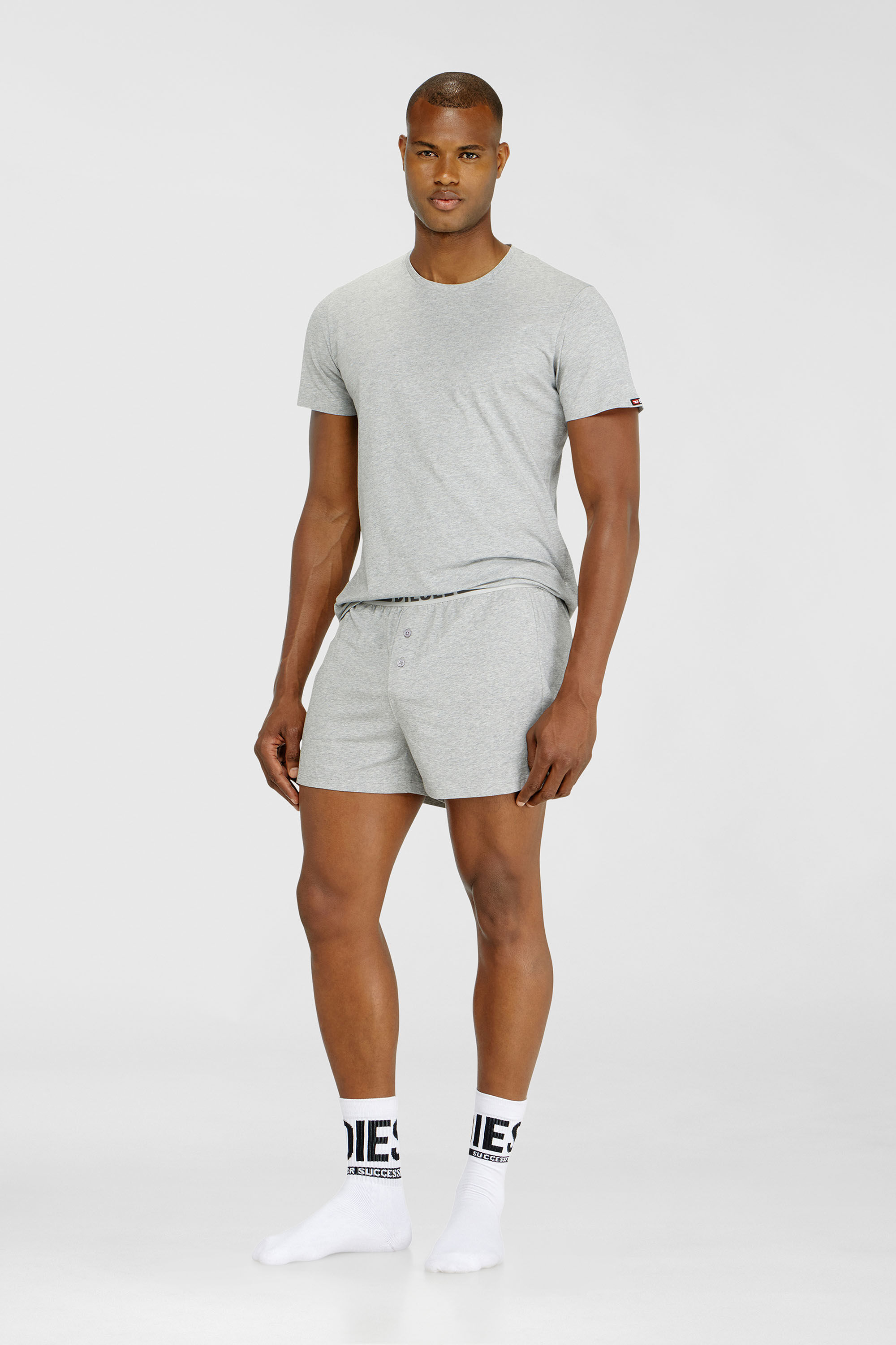 Diesel - RANDAL-D-CORE-3PACK, Man's Set of 3 cotton T-shirts in White/Grey - 1
