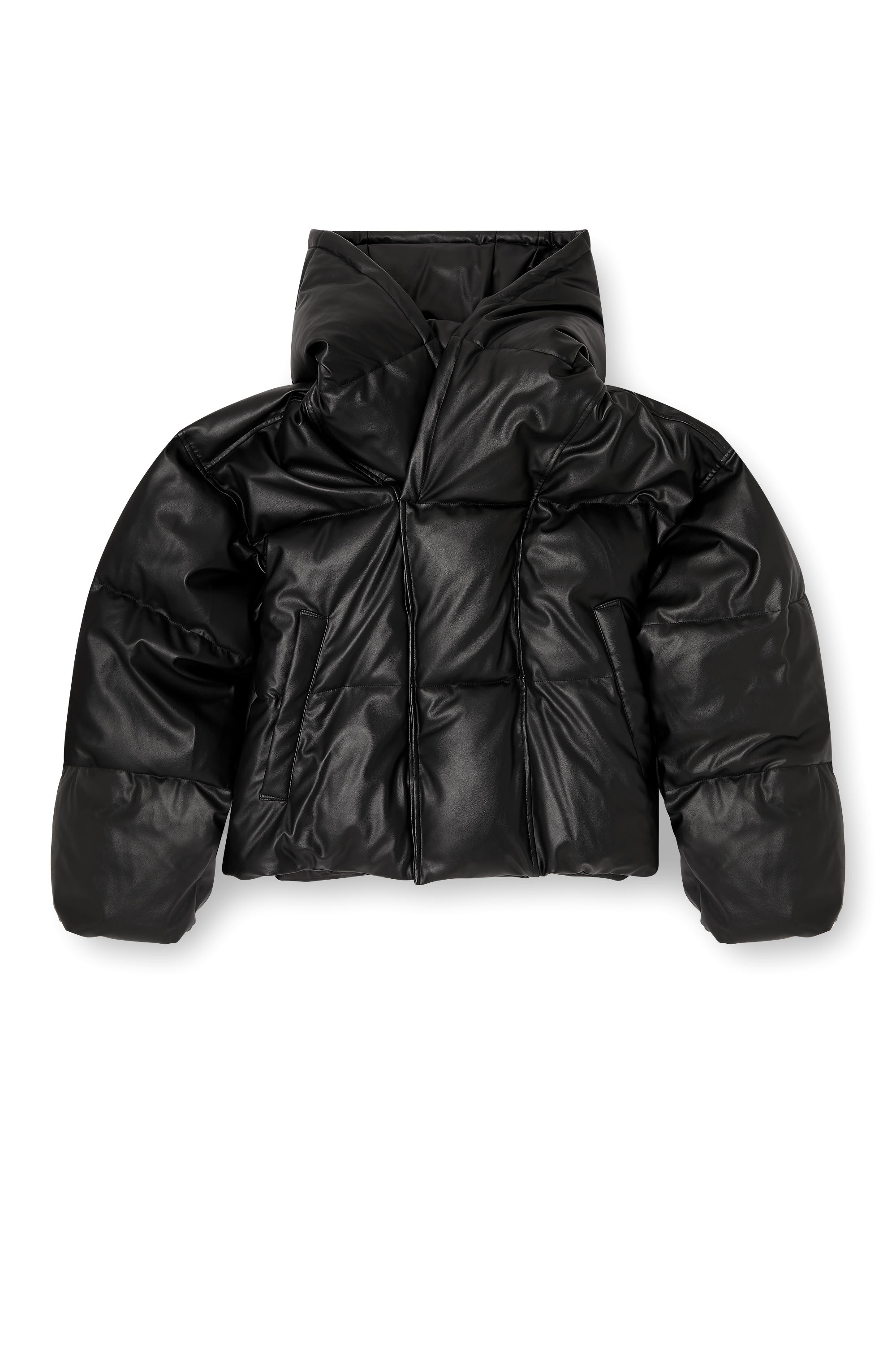 Diesel - W-MYLEY, Man's Hooded puffer jacket in coated fabric in Black - 2