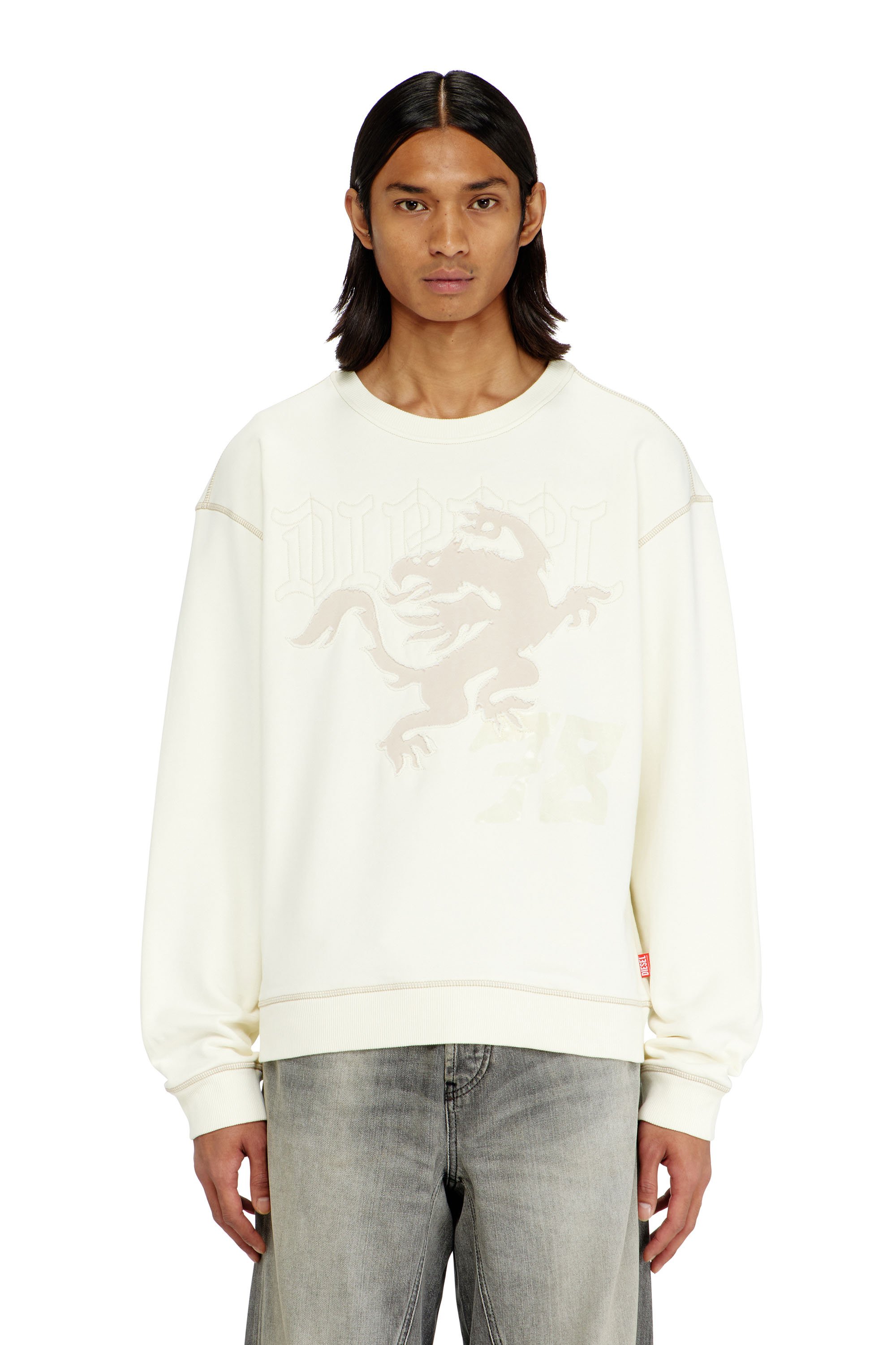 Diesel - S-NORM-AA3, Man's Sweatshirt with embroidery and print in null - 1